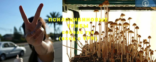 героин Богородицк