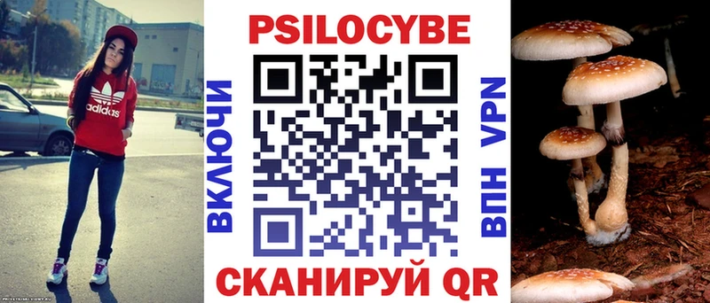 купить  сайты  Сосенский  Псилоцибиновые грибы Cubensis 